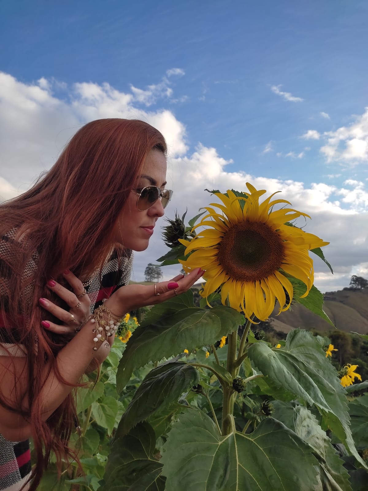 Suellen Fardin
